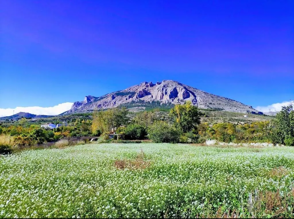 Casa Rural Rincon De Los Velez. Velez Rubio 0*,  Spain
